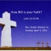 How BIG is Your Faith?