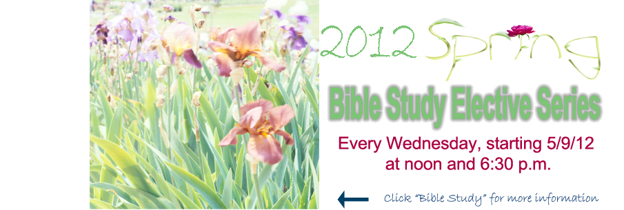 Spring Elective Series 2012